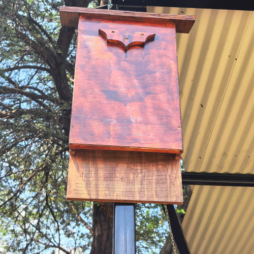 Bat Hotel - Various styles